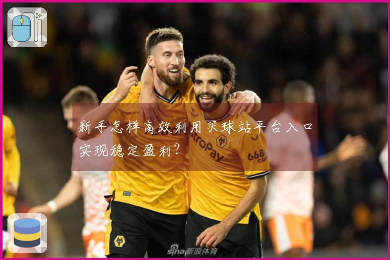 新手怎样高效利用买球站平台入口实现稳定盈利？