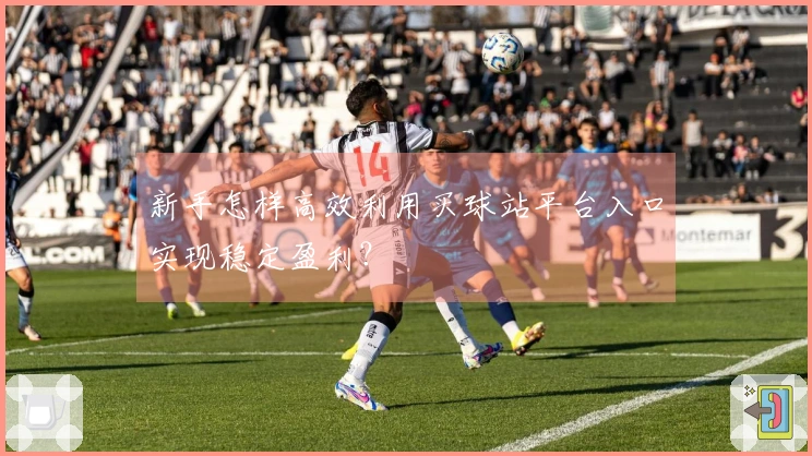 新手怎样高效利用买球站平台入口实现稳定盈利？