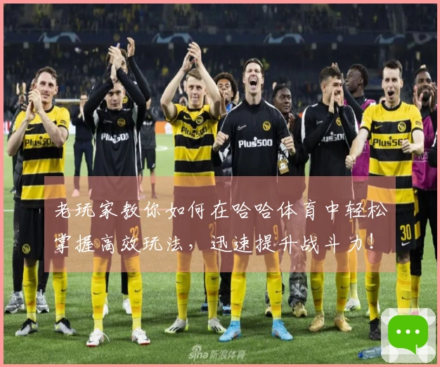 老玩家教你如何在哈哈体育中轻松掌握高效玩法，迅速提升战斗力！